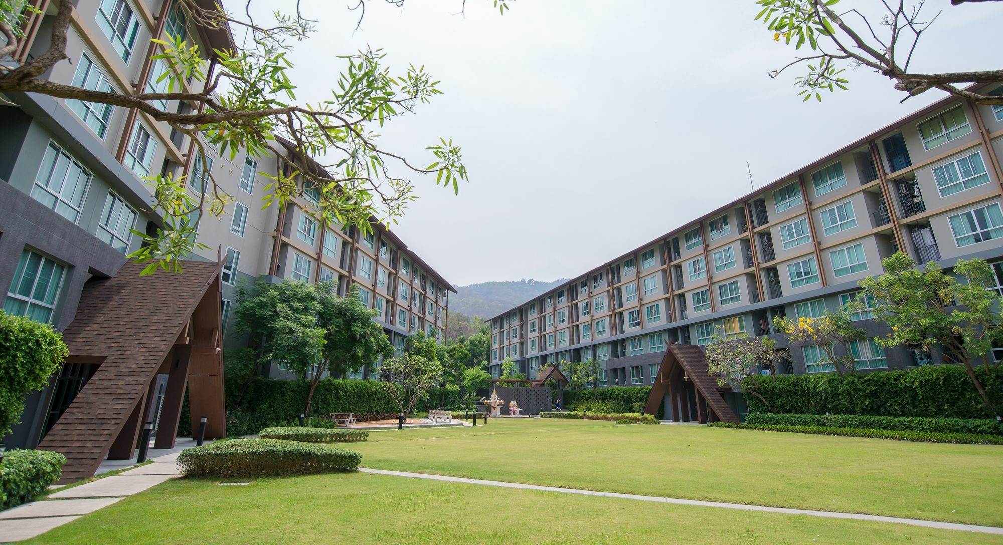 Hoc Daily Apartment Chiang Mai Exteriör bild